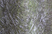 Little Plumpton fibreglass roof work